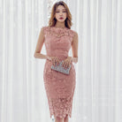 Pink Lace Dress High Waist Tight  Back Zipper Elegant - HABASH FASHION